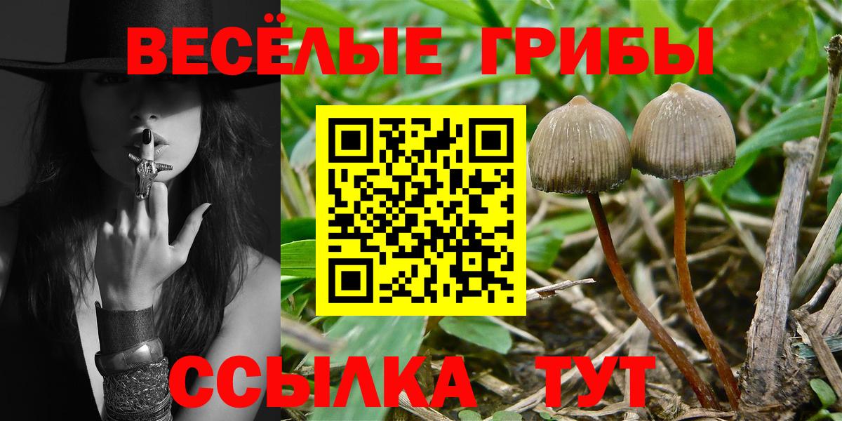 Галлюциногенные грибы Magic Shrooms  Галлюциногенные грибы прущие грибы  Вход с VPN  Арзамас 