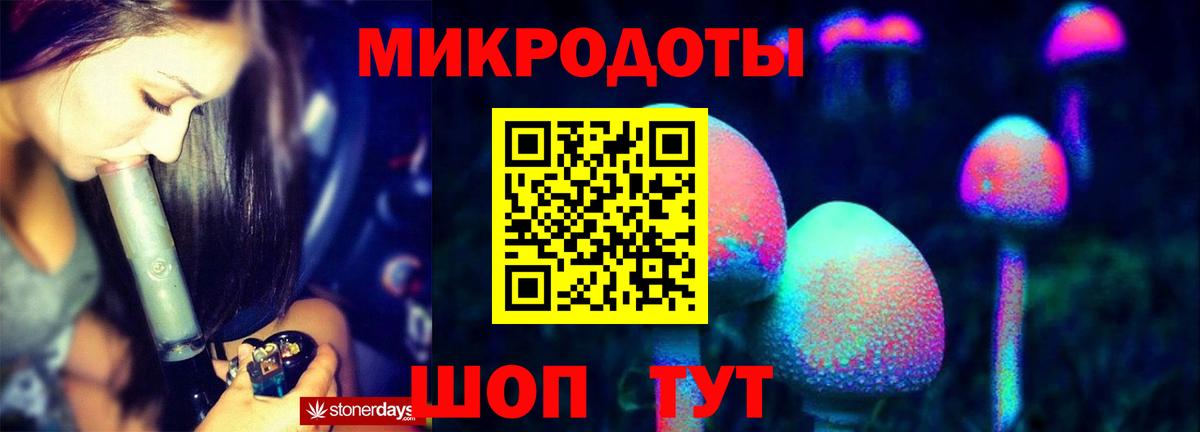 Псилоцибиновые грибы мицелий Арзамас
